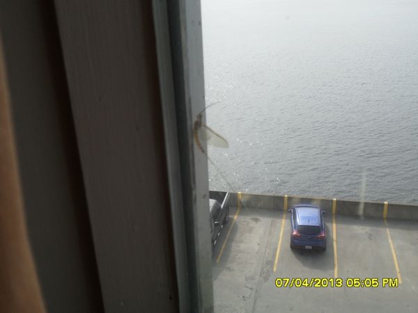 Click to see next picture