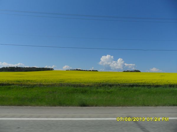 Click to see next picture